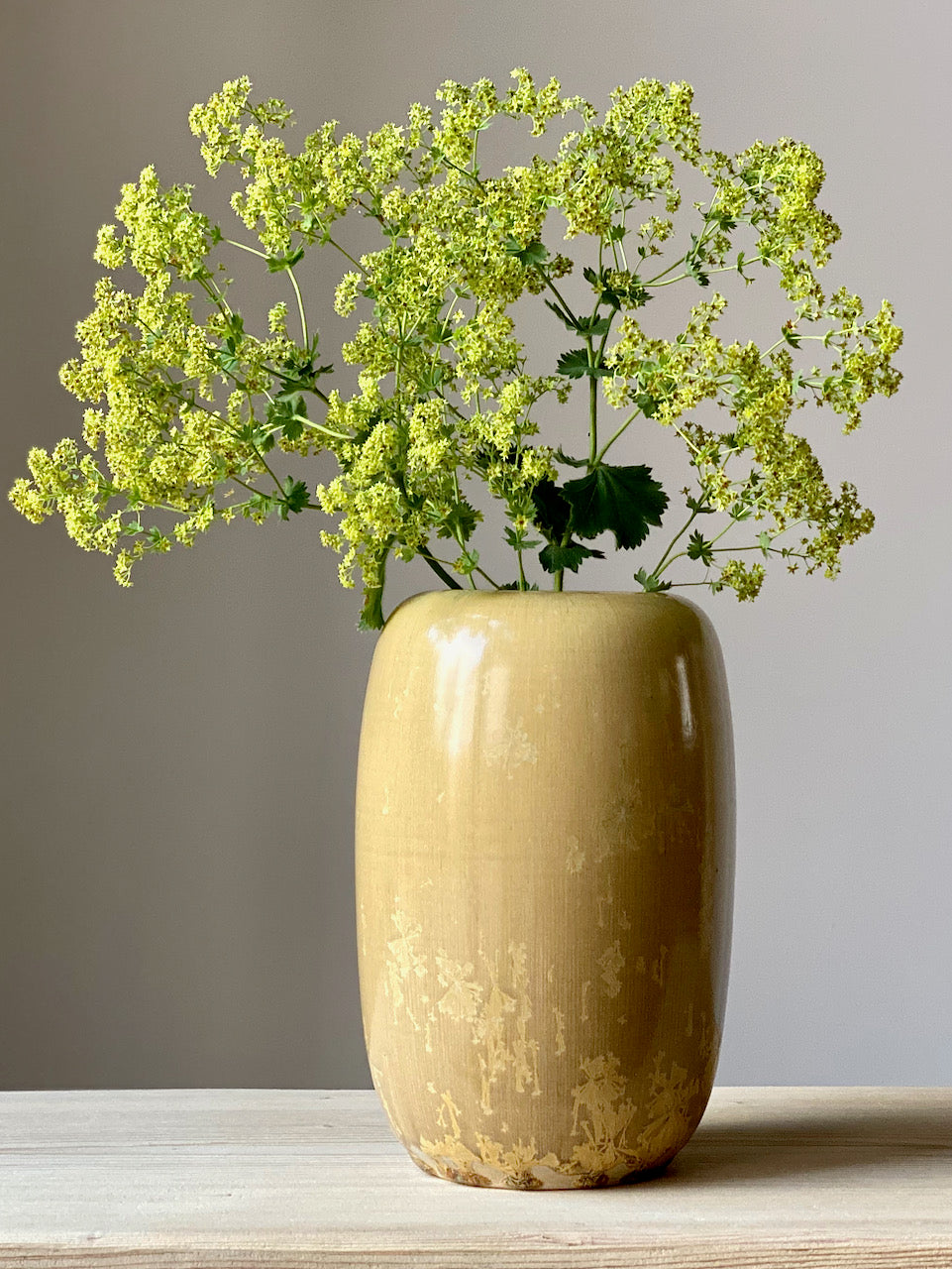 Vase mit beigen Kristallen